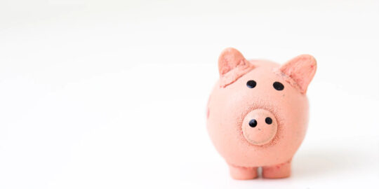 handcrafted clay pig - waste management NHS