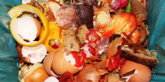 Food waste